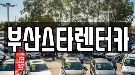 부산광역시 연제구 연산동 렌트카 전문 부산스타렌터카
