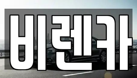 부산광역시 연제구 연산동 장기렌트카 전문 비렌카