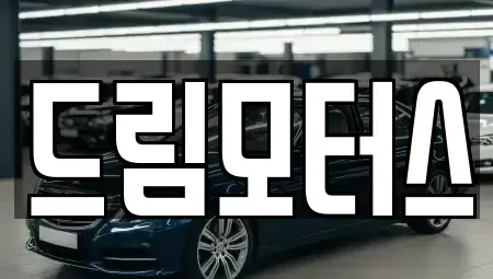 부산광역시 연제구 연산동 중고차 전문 드림모터스