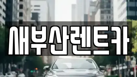 부산광역시 중구 동광동1가 렌트카 전문 새부산렌트카