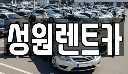 서울 강남구 신사동 렌트카 전문 성원렌트카