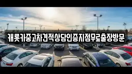 서울 강남구 신사동 중고차매매 전문 캐롯카중고차견적상담인증지점무료출장방문