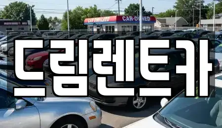 서울 강남구 압구정동 렌트카 전문 드림렌트카