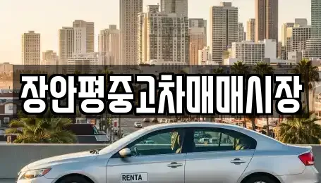 서울 서대문구 충정로2가 중고차 전문 장안평중고차매매시장