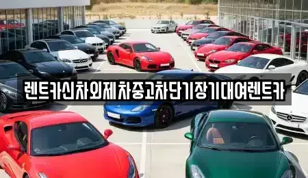서울 용산구 용산동3가 단기렌트카 전문 렌트카신차외제차중고차단기장기대여렌트카