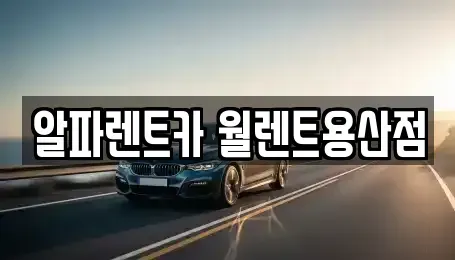 서울 용산구 용산동3가 렌트카 전문 알파렌트카 월렌트용산점