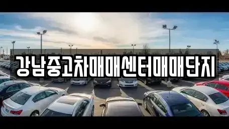 서울 용산구 용산동3가 중고차 전문 강남중고차매매센터매매단지