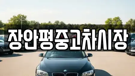 서울 용산구 용산동3가 중고차 전문 장안평중고차시장