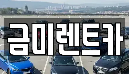 서울 종로구 누상동 렌트카 전문 금미렌트카