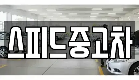 서울 종로구 누상동 중고차매매 전문 스피드중고차