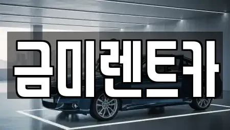 서울 종로구 돈의동 렌트카 전문 금미렌트카