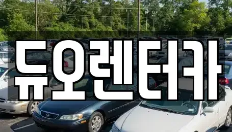 서울 종로구 돈의동 렌트카 전문 듀오렌터카