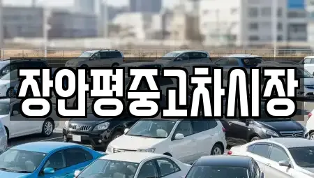 서울 종로구 돈의동 중고차매매,단기렌트카,중고차매입,장기렌트카,중고차,렌트카