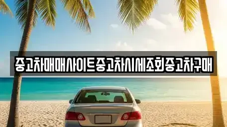 서울 종로구 돈의동 중고차매매 전문 중고차매매사이트중고차시세조회중고차구매