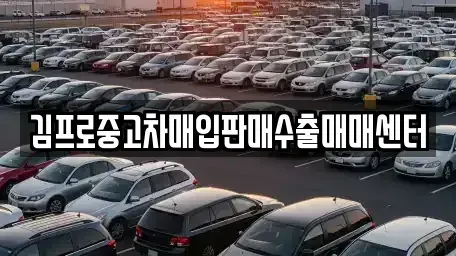 서울 종로구 돈의동 중고차매입 전문 김프로중고차매입판매수출매매센터