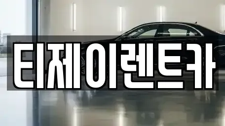 서울 중구 남대문로4가 렌트카 전문 티제이렌트카