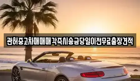 서울 중구 남대문로4가 중고차 전문 관허중고차매매매각즉시송금당일이전무료출장견적