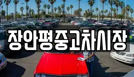 서울 중구 남대문로4가 중고차 전문 장안평중고차시장