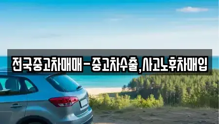 서울 중구 남대문로4가 중고차매입 전문 전국중고차매매-중고차수출,사고노후차매입