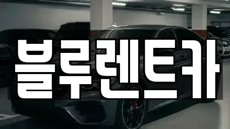 서울 중구 을지로7가 렌트카 전문 블루렌트카