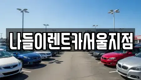 서울 중랑구 망우동 렌트카 전문 나들이렌트카서울지점