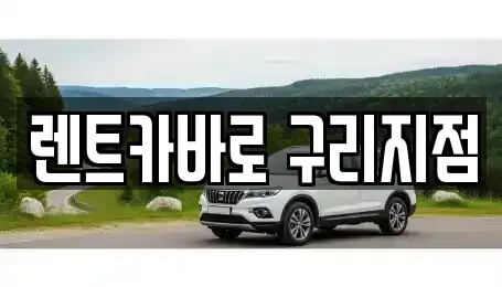 서울 중랑구 망우동 장기렌트카 전문 렌트카바로 구리지점