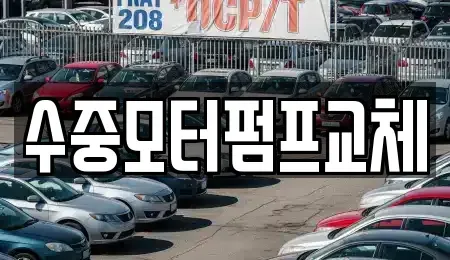 서울 중랑구 망우동 중고차매입 전문 수중모터펌프교체