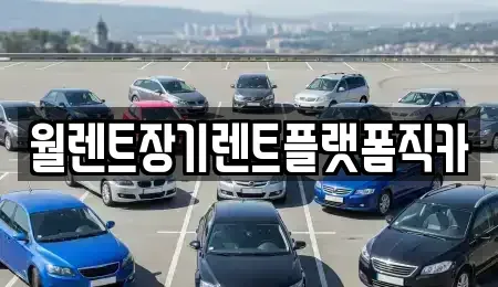 서울특별시 강동구 고덕동 렌트카 전문 월렌트장기렌트플랫폼직카