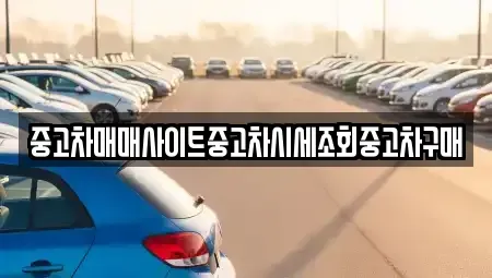 서울특별시 마포구 신정동 중고차매매 전문 중고차매매사이트중고차시세조회중고차구매