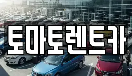 서울특별시 서대문구 북가좌동 렌트카 전문 토마토렌트카