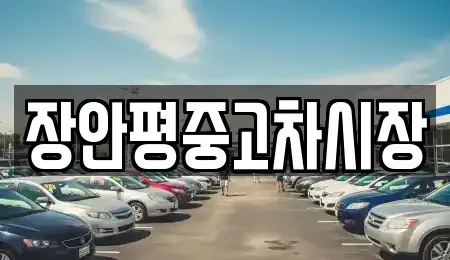 서울특별시 서대문구 북가좌동 중고차 전문 장안평중고차시장