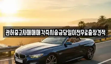 서울특별시 서초구 신원동 중고차 전문 관허중고차매매매각즉시송금당일이전무료출장견적