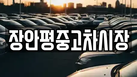 서울특별시 서초구 신원동 중고차 전문 장안평중고차시장