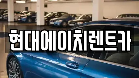 서울특별시 서초구 잠원동 렌트카 전문 현대에이치렌트카