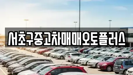 서울특별시 서초구 잠원동 중고차 전문 서초구중고차매매오토플러스