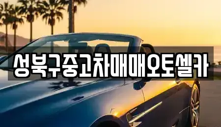 서울특별시 성북구 삼선동4가 중고차 전문 성북구중고차매매오토셀카