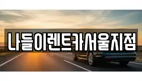 서울특별시 성북구 삼선동5가 렌트카 전문 나들이렌트카서울지점