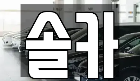 서울특별시 성북구 삼선동5가 중고차 전문 솔카