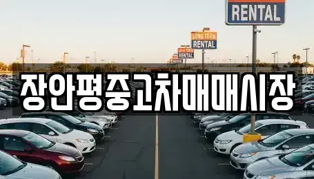 서울특별시 성북구 삼선동5가 중고차 전문 장안평중고차매매시장