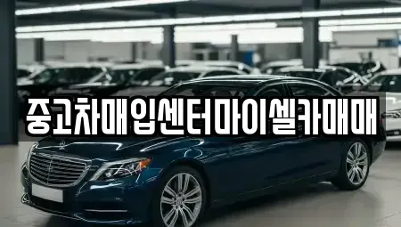 서울특별시 성북구 삼선동5가 중고차 전문 중고차매입센터마이셀카매매