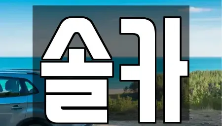 서울특별시 성북구 중고차 전문 솔카