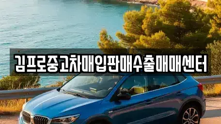서울특별시 성북구 중고차매입 전문 김프로중고차매입판매수출매매센터