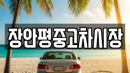 서울특별시 영등포구 영등포동 중고차 전문 장안평중고차시장