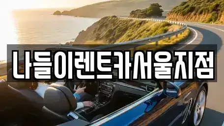 서울특별시 종로구 명륜3가 렌트카 전문 나들이렌트카서울지점