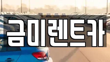 서울특별시 종로구 행촌동 렌트카 전문 금미렌트카