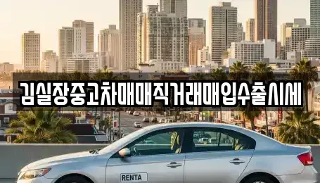 서울특별시 종로구 행촌동 중고차 전문 김실장중고차매매직거래매입수출시세