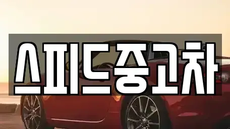 서울특별시 종로구 행촌동 중고차매매 전문 스피드중고차