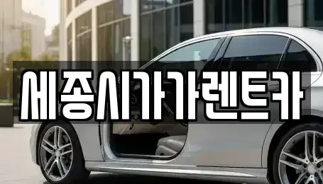 세종 고운동 단기렌트카 전문 세종시가가렌트카
