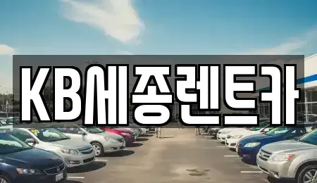 세종 고운동 렌트카 전문 KB세종렌트카