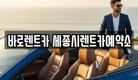 세종 고운동 장기렌트카 전문 바로렌트카 세종시렌트카예약소